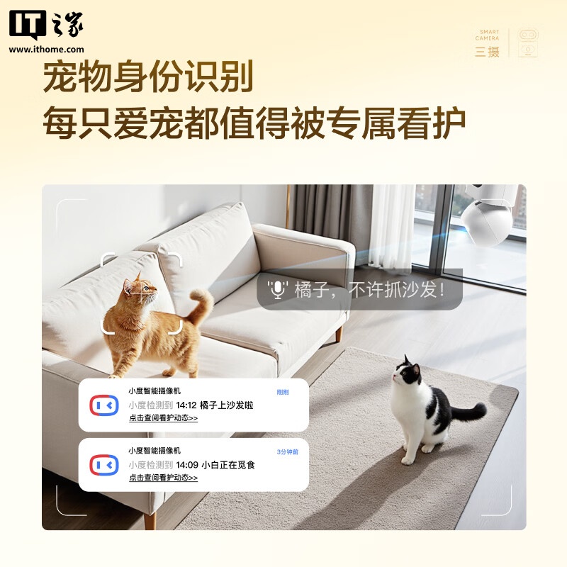 宠物身份识别功能